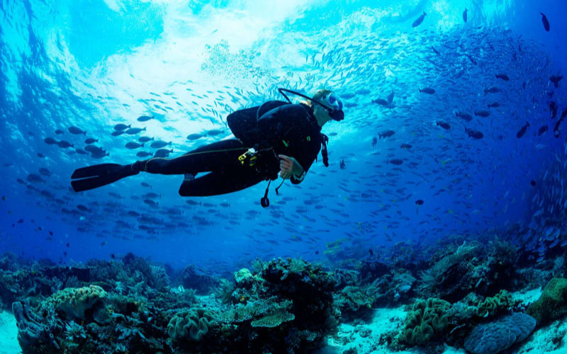 Adventure dive